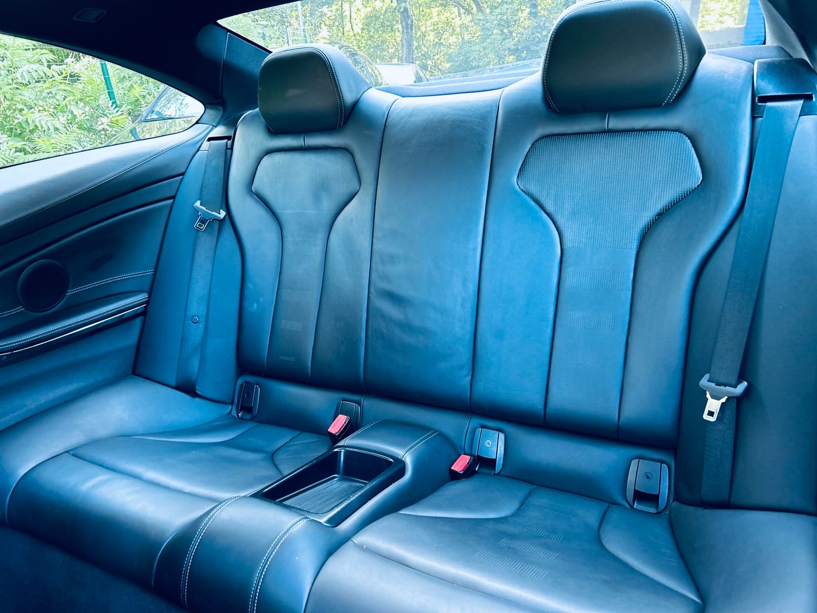 IMG_4655